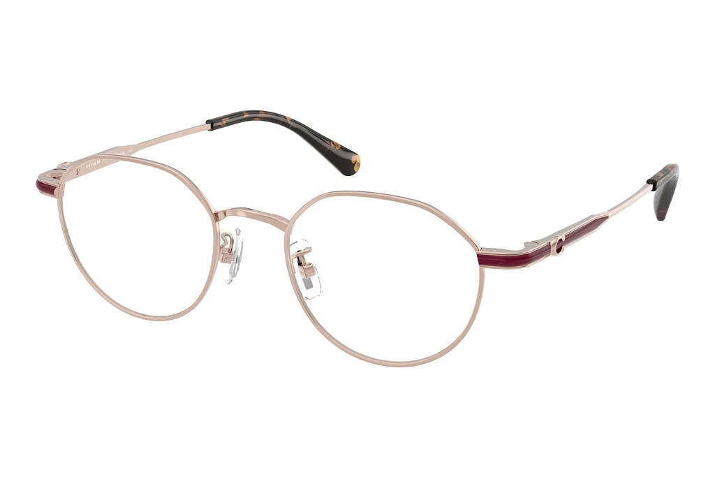 Coach HC5173TD 9482 Vintage Rose Gold Coach HC5173TD 9482 Vintage Rose Gold