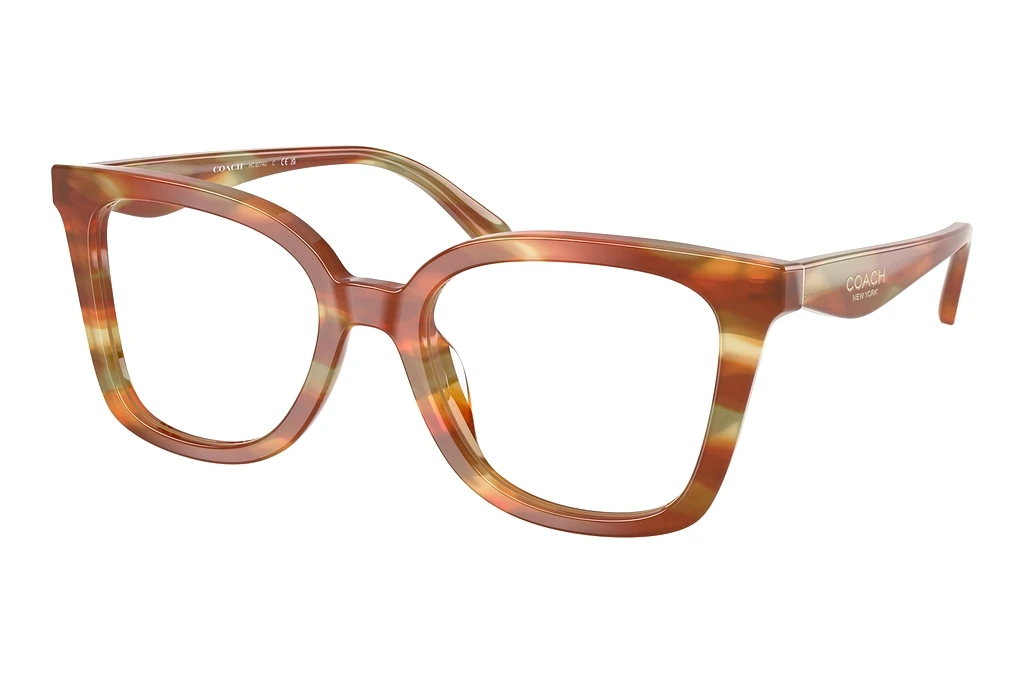 Coach HC6274U 5898 Striated Bark/Moss Coach HC6274U 5898 Striated Bark/Moss