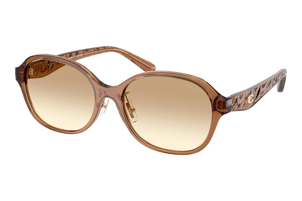 Coach HC8445D 565413 Clear BrownTransparent Brown Coach HC8445D 565413 Clear BrownTransparent Brown