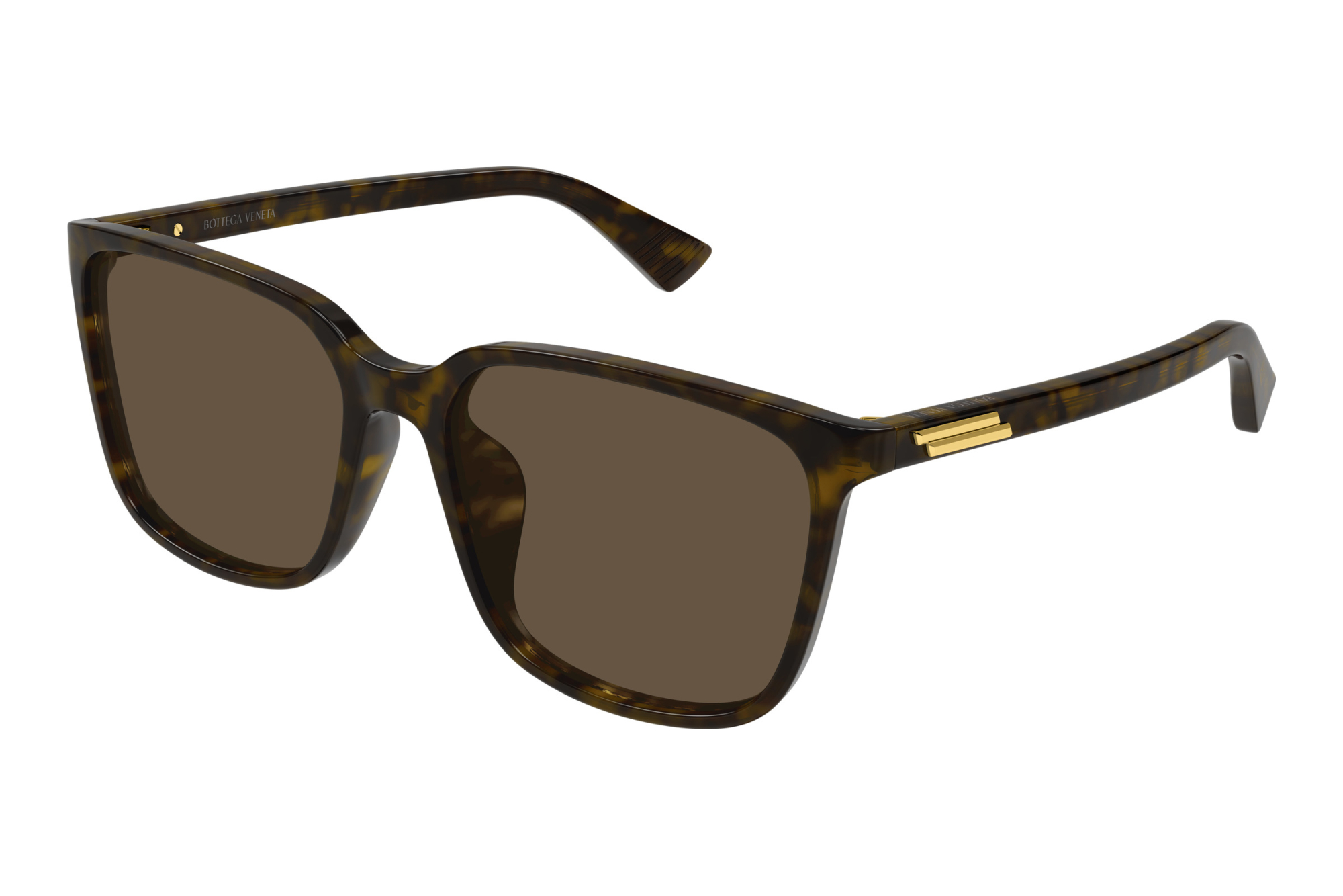 Bottega Veneta BV1516SK 002 HAVANA Bottega Veneta BV1516SK 002 HAVANA