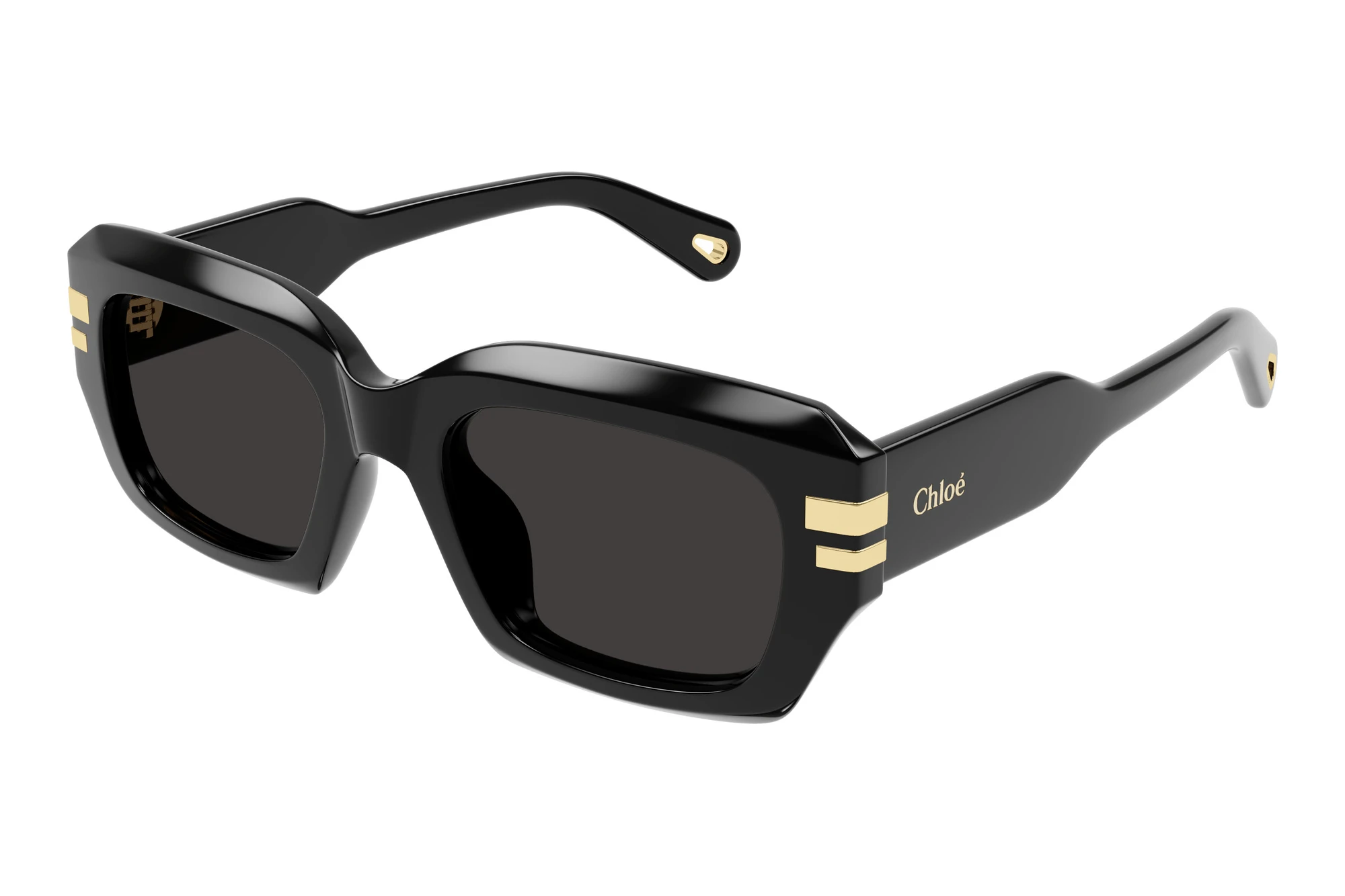 Chloé CH0256S 001 BLACK Chloé CH0256S 001 BLACK