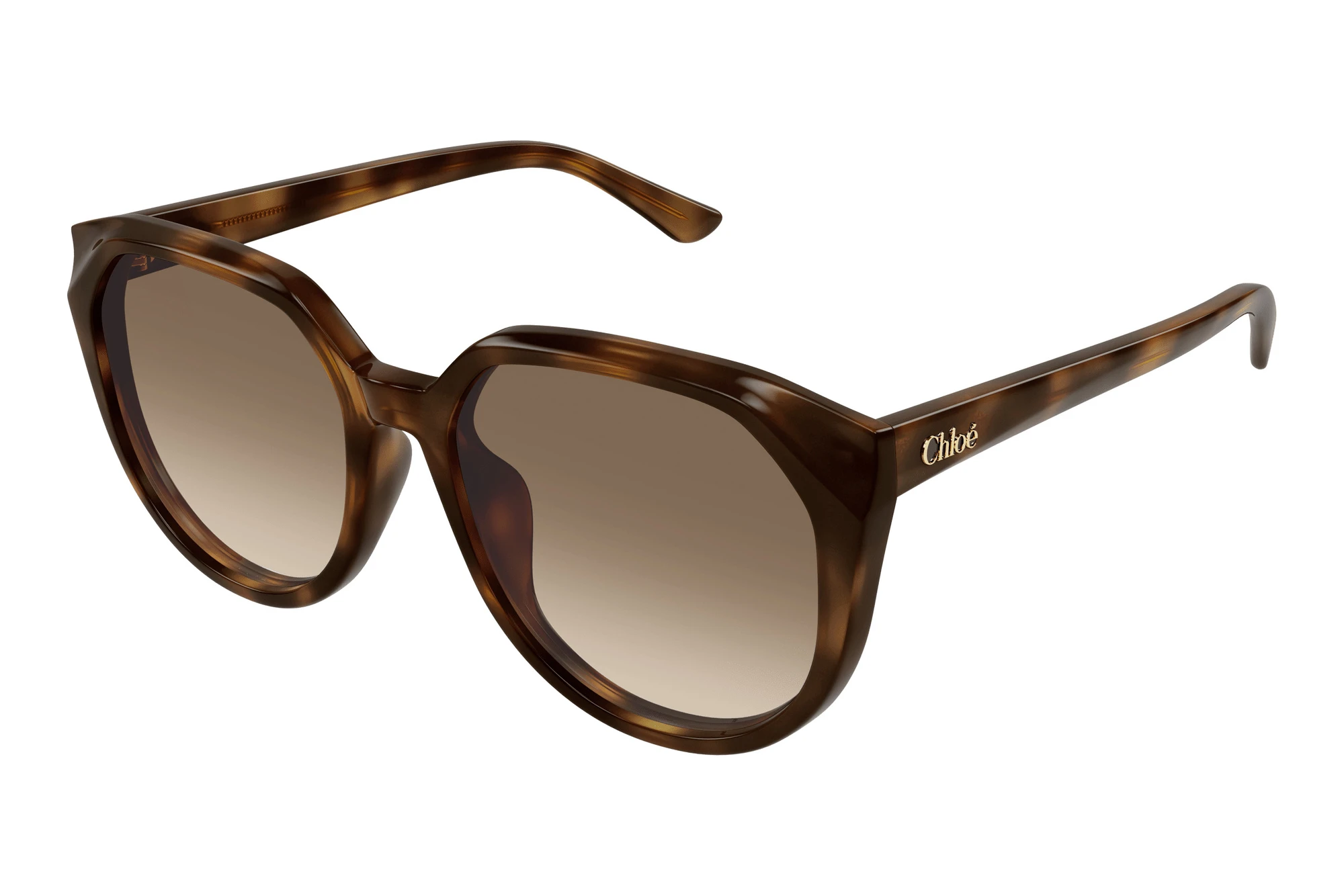 Chloé CH0291SK 003 HAVANA Chloé CH0291SK 003 HAVANA