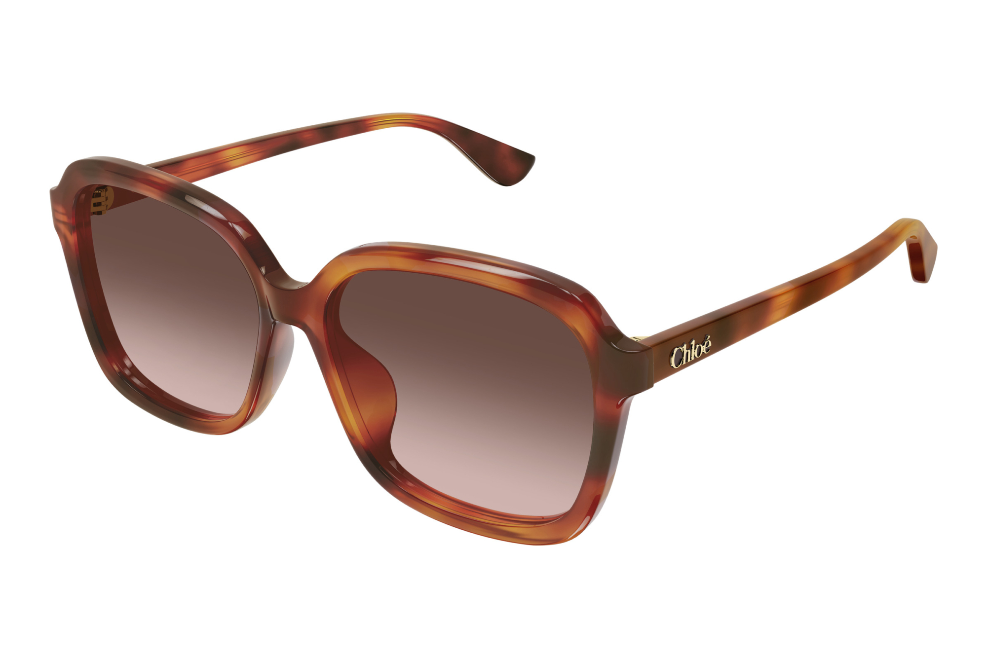 Chloé CH0390SK 002 HAVANA Chloé CH0390SK 002 HAVANA
