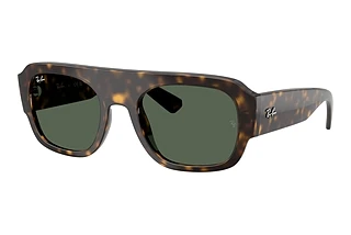 Ray-Ban RB2218 679071 GreenHavana