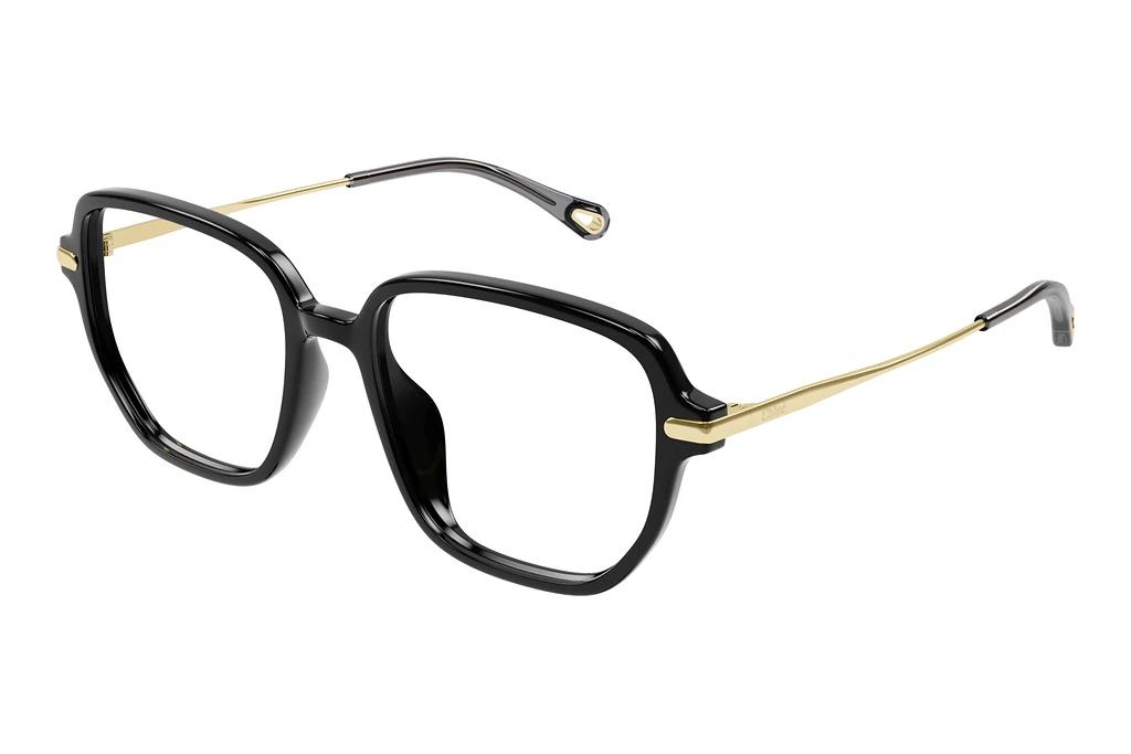 Chloé   CH0218OA 001 BLACK