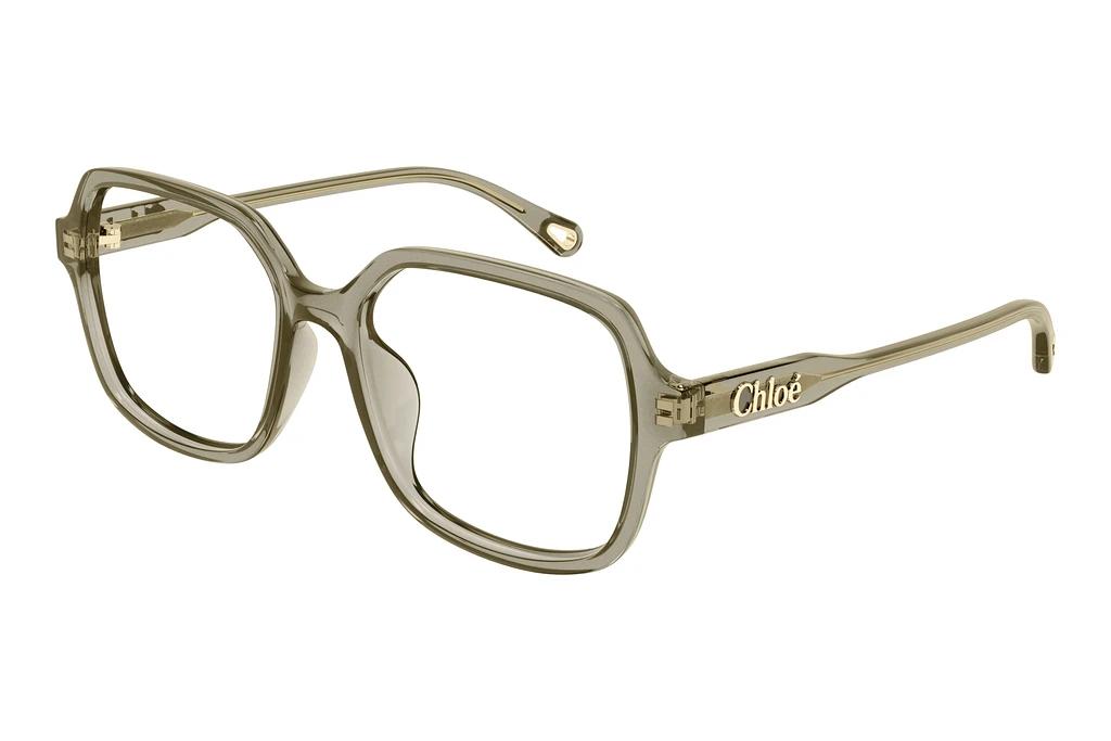 Chloé   CH0277OA 004 GREEN