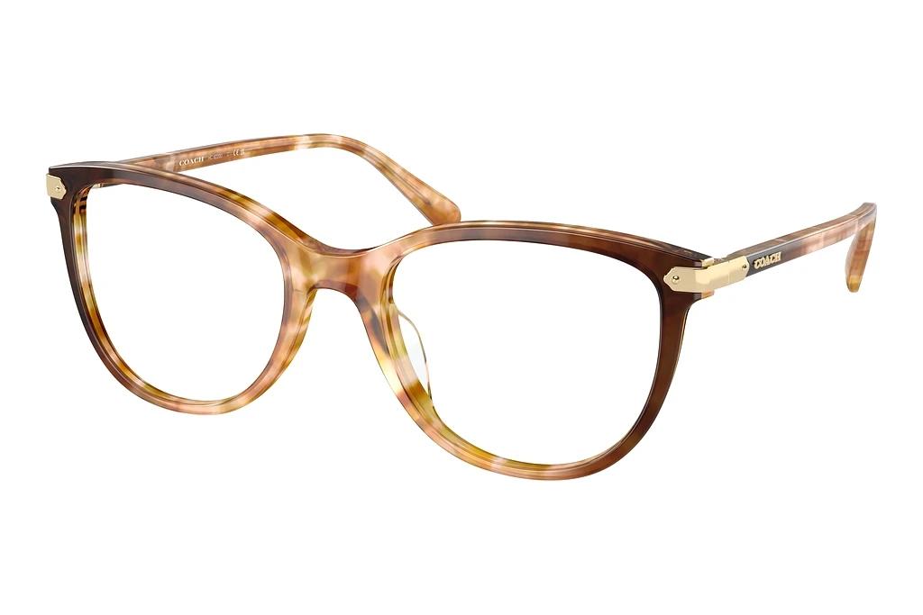 Coach   HC6220U 5775 Caramel Snow Tortoise Gradient