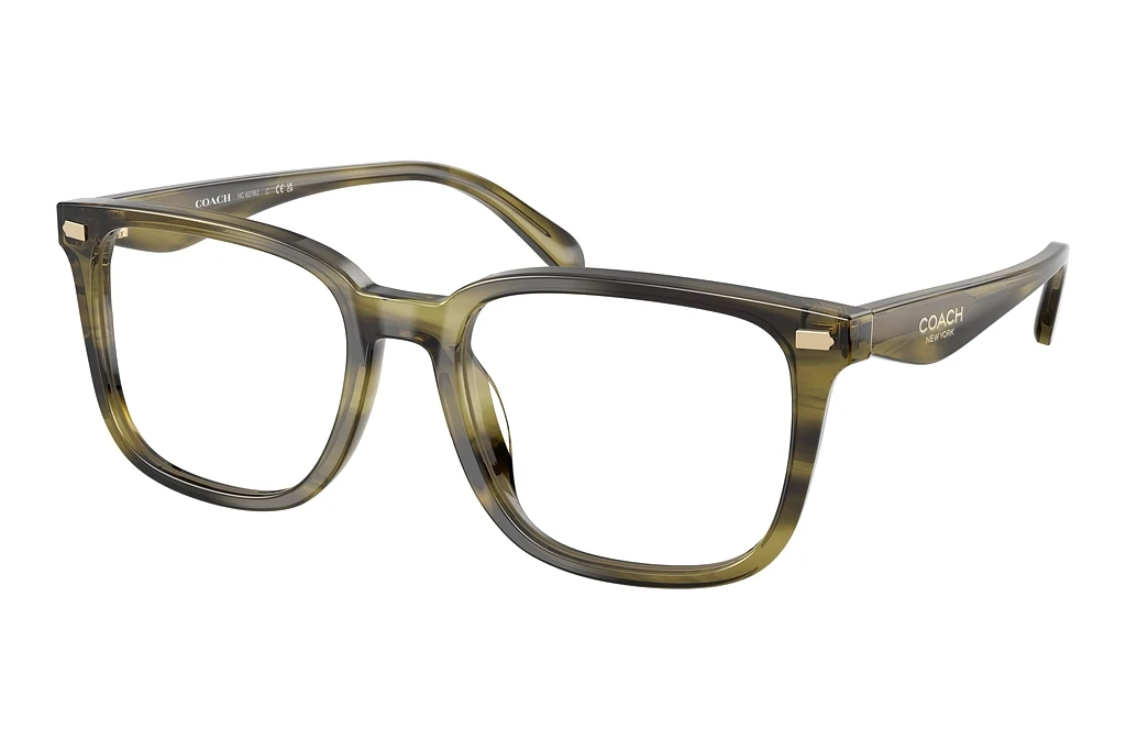 Coach   HC6276U 5907 Striped Olive