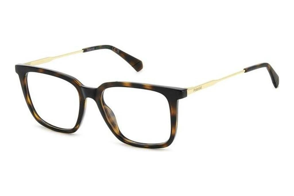Polaroid   PLD D565 086 HAVANNA