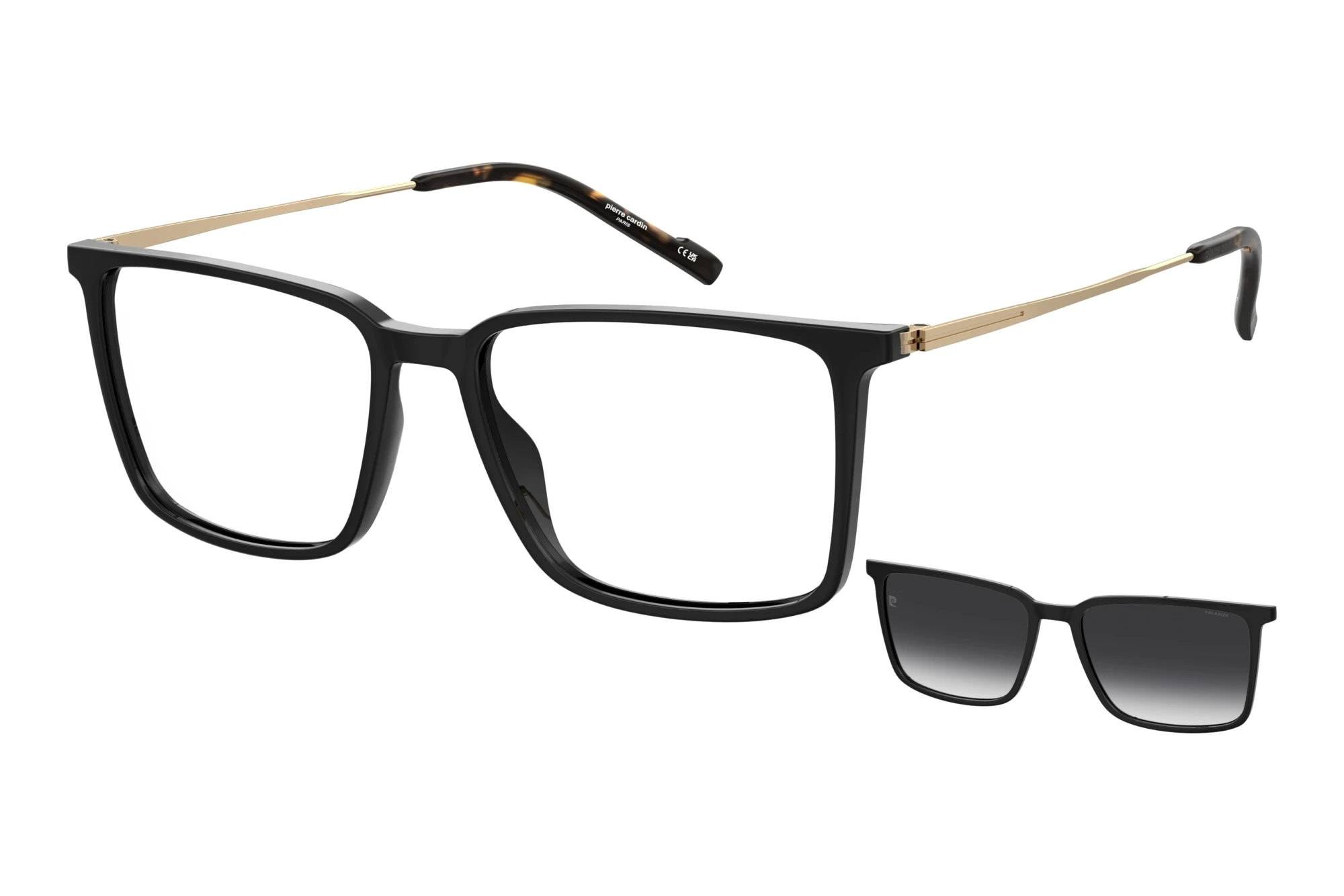 Pierre Cardin   P.C. 6290/C 2M2 BLACK GOLD