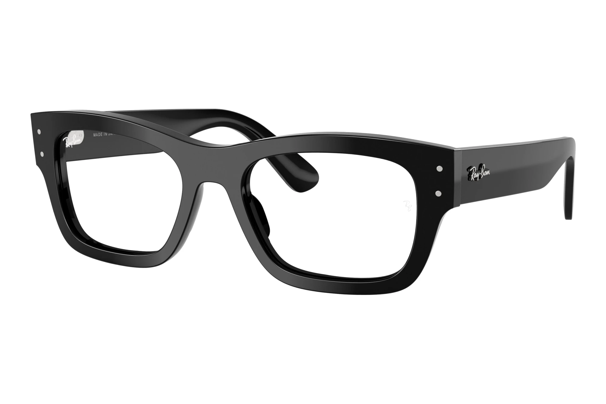 Ray-Ban   RX7683V 2000 Black