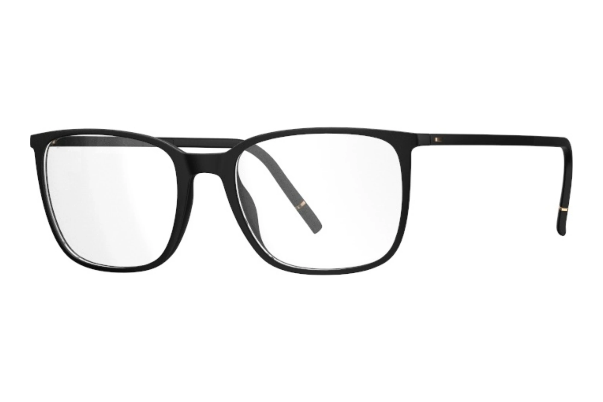 Silhouette   2961 9030 Black Matte