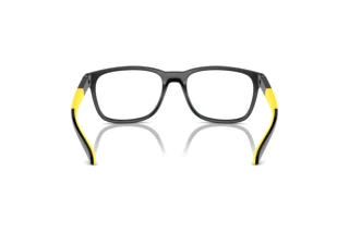 Bagside Arnette ORIBEE (AN7240U - 2904)
