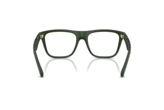 Bagside Burberry BE2432U (4170)