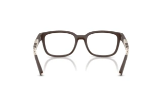 Bagside Burberry BE2451U (4234)