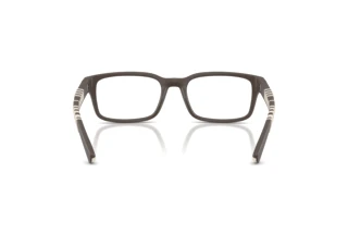Bagside Burberry BE2463U (4234)
