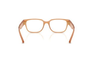 Bagside Burberry BE2475D (4266)