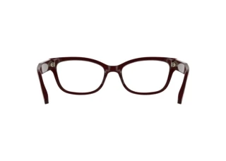 Bagside Calvin Klein CK25541 (605)