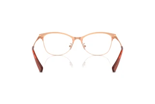 Bagside Coach HC5111 (9331)