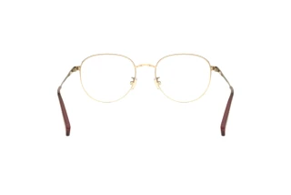 Bagside Coach HC5115D (9331)