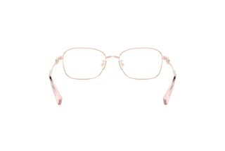 Bagside Coach HC5119 (9367)