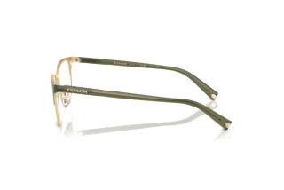 Sidevisning Coach HC5131 (9442)