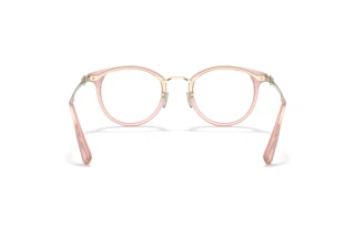 Bagside Coach HC5133D (5113)