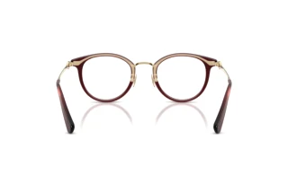 Bagside Coach HC5133D (5677)