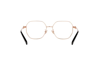 Bagside Coach HC5134D (9363)