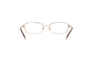 Bagside Coach HC5138 (9406)