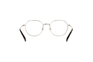 Bagside Coach HC5141 (9005)