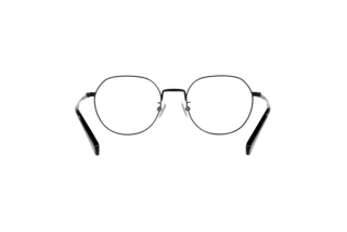 Bagside Coach HC5141 (9393)