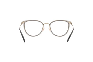 Bagside Coach HC5146 (9417)