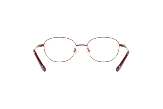 Bagside Coach HC5153TD (9413)