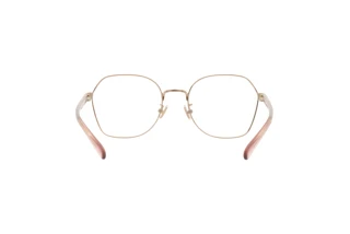 Bagside Coach HC5155 (9331)