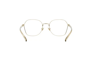 Bagside Coach HC5155 (9436)