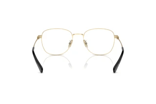 Bagside Coach HC5163 (9429)