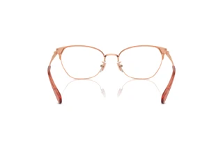 Bagside Coach HC5169 (9331)