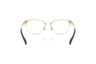 Bagside Coach HC5169 (9436)