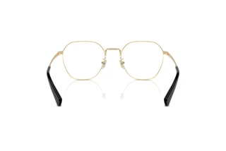 Bagside Coach HC5170 (9005)