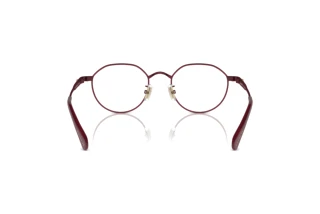 Bagside Coach HC5173TD (9413)