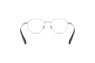 Bagside Coach HC5173TD (9482)