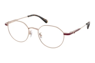 Forfra Coach HC5173TD (9482)