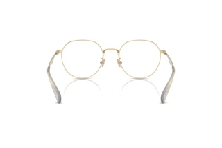 Bagside Coach CY044 (HC5175 - 9005)