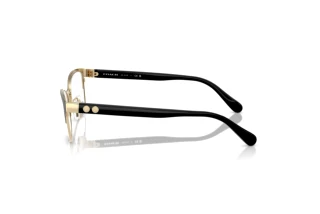 Sidevisning Coach HC5176 (9435)