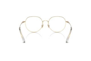 Bagside Coach HC5180TD (9005)