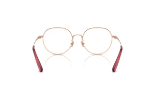 Bagside Coach HC5180TD (9331)