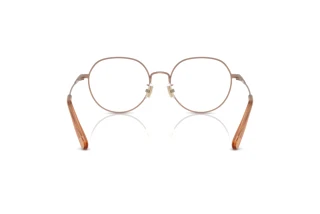 Bagside Coach HC5180TD (9414)