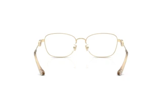 Bagside Coach HC5183 (9005)