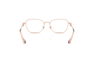 Bagside Coach HC5183 (9331)